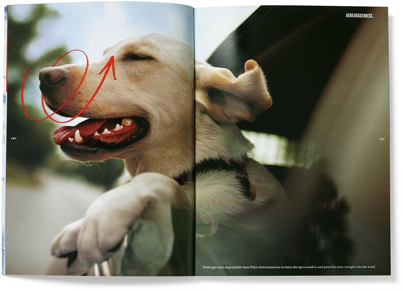 storaenso_depend-productolith-dog_b.jpg Art Direction by: Bart Crosby, Crosby Associates